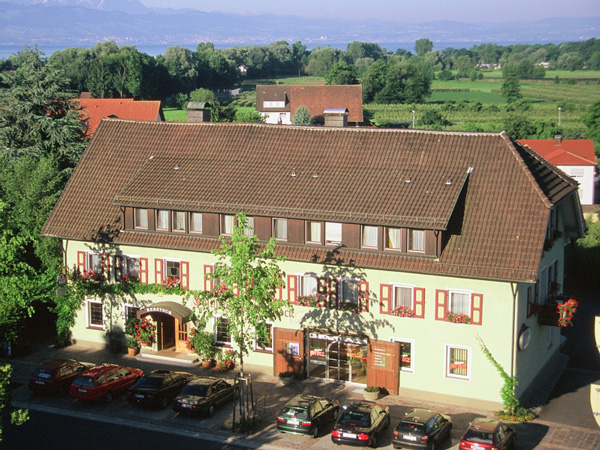 Vogelperspektive mit Bodensee und Alpen im Hintergrund